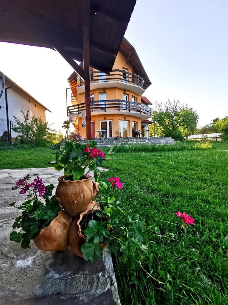 Casa Tamara Ξενοδοχείο Μπραν Εξωτερικό φωτογραφία